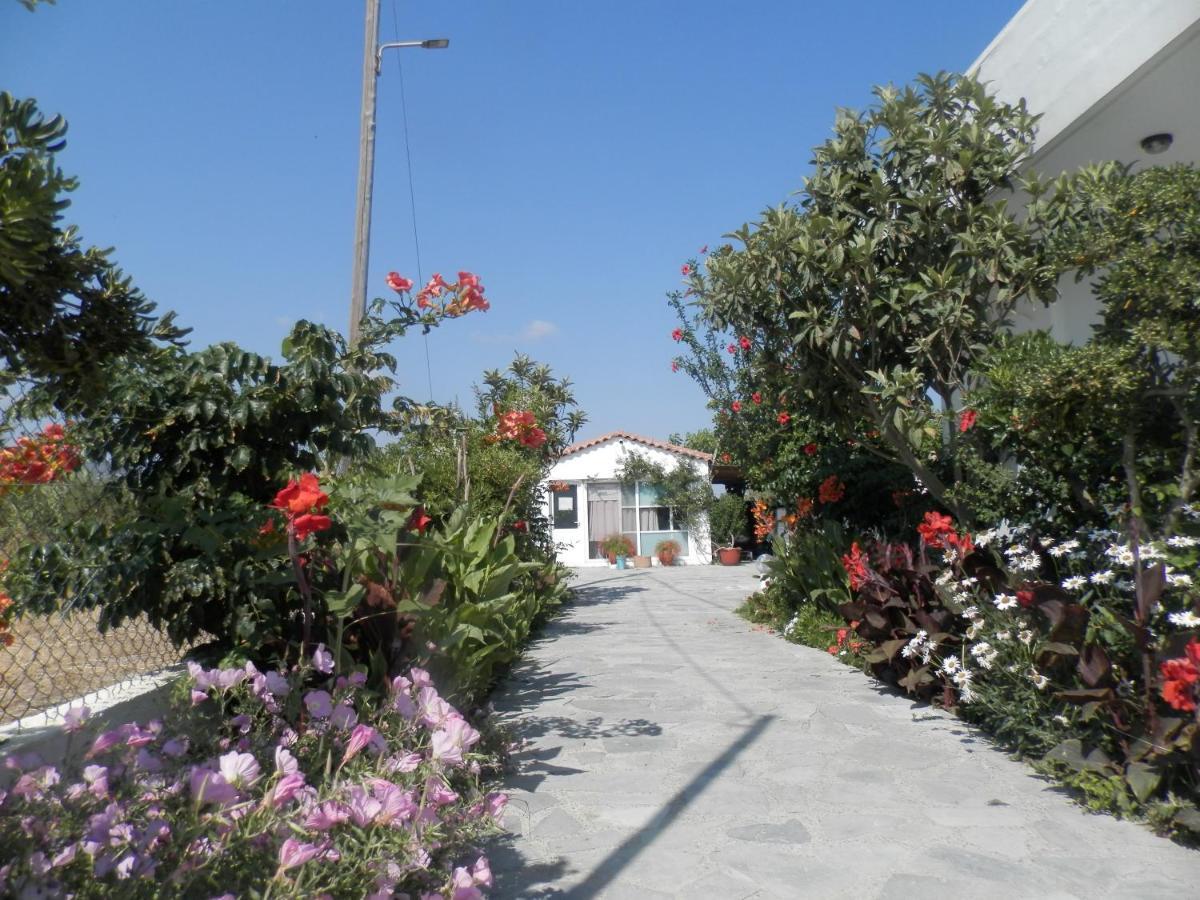 Silvi Mari Apartments Platanes  Exterior photo