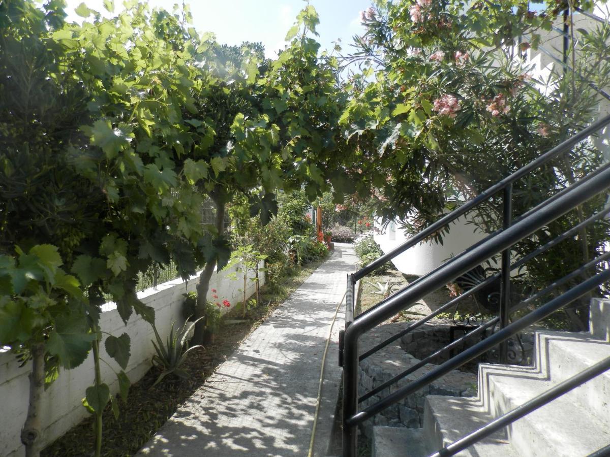 Silvi Mari Apartments Platanes  Exterior photo